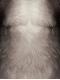 Pandaren Pattern Printing Spandex Suit No Mask Pandaren Pattern Printing Spandex Suit No Mask
