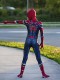 Kids Iron Spider Costume Kids Spiderman Homecoming Cosplay Suit for Halloween