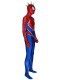 Punk-Rock Spider-man Suit Spider-Man PS4 Game Coplay Costume