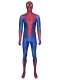 The Amazing Spider-Man Costume With Puff Paint