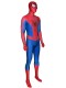 The Amazing Spider-Man 2 Costume With Puff Paint Webbing & Spider