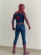 Disfraz de Spider-Man(Tobey Maguire) Cosplay