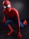 2015 3D Printing New The Amazing Spider-man 2 Superhero Costume