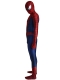 Raimi Spiderman Costume 3D Printed Cosplay Suit