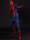 Concept Art Spider Costume 3D Design Cosplay Suit