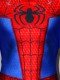 Spider-Man: Into the Spider-Verse Peter Parker ISV Superhero Costume