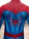 Spider No Way Way Home Final Swing Cosplay Traje