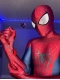 Disfraz de cosplay de The Amazing Spider 2