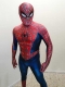 Raimi Spider Variant Comic Style Suit