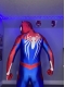 PS4 Advanced Spider Cosplay Costume