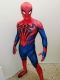 Marvel Rivals Spider Suit