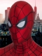 Traje de cosplay de Spider Brand New Day