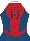 Brand New Day Spider Suit Two Versions