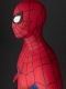 Traje de cosplay BND de Spider Brand New Day