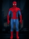 Spider Brand New Day Definitive Cosplay Costume