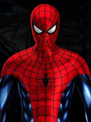 Disfraz clásico de Spider Web of Shadows