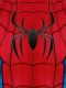 Spider No Way Home Classic Suit with Blue Metallic