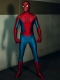 Spider-Man No Way Way Home Swing Cosplay Disfraz