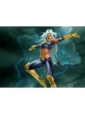 Storm Costumes