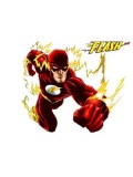 The Flash Costumes